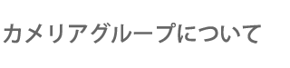 カメリアグループについて