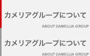 カメリアグループについて