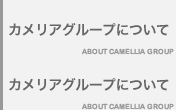 カメリアグループについて